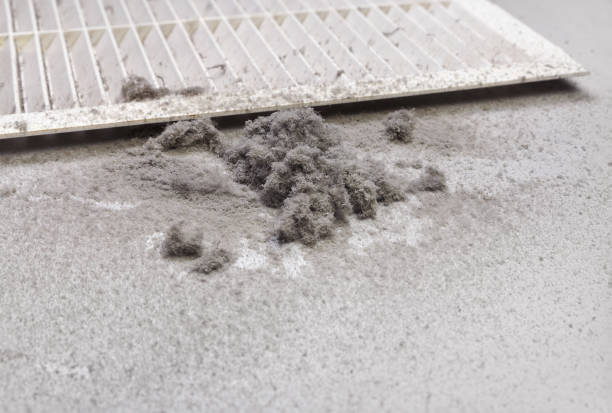 Best Emergency Air Duct Cleaning  in Cottonde, AL